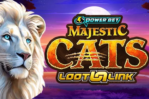 Looking for hot new casino game releases?
