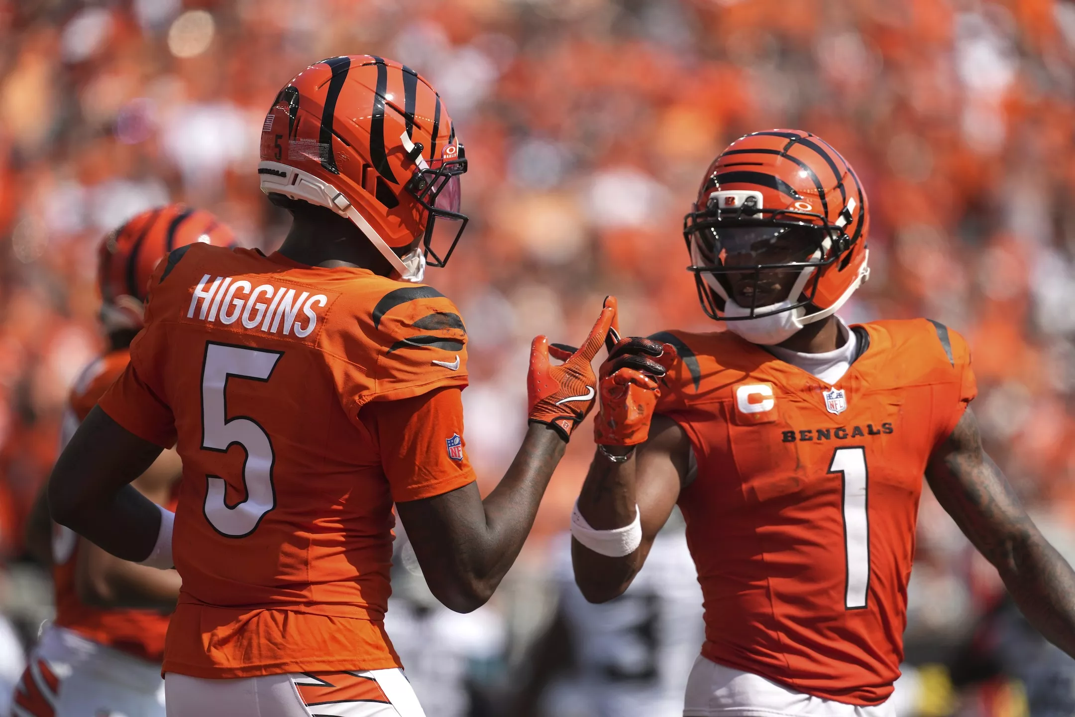 Back the Bengals as road underdogs in Week 11. Photo by Kareem Elgazzar/AP.