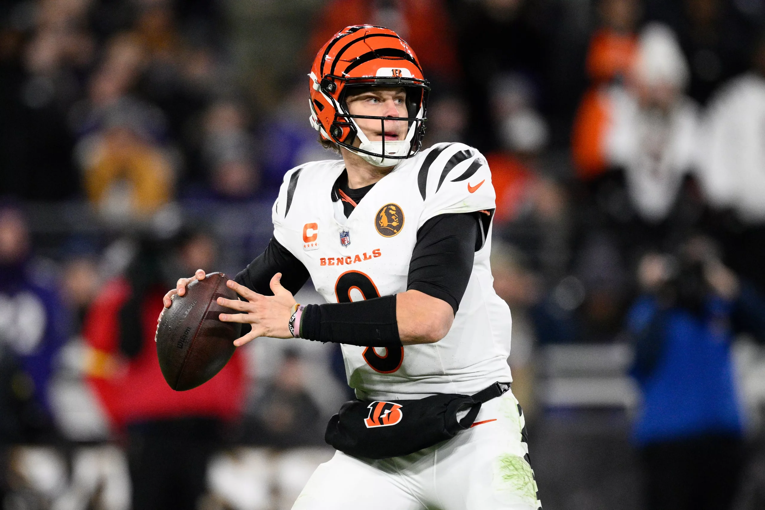 Back Cincinnati to upset Baltimore in Week 15. Photo by Nick Wass/AP.